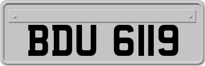 BDU6119