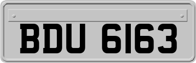 BDU6163