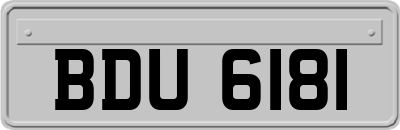 BDU6181