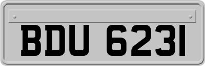 BDU6231
