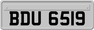 BDU6519