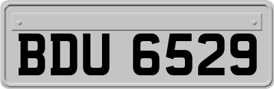 BDU6529
