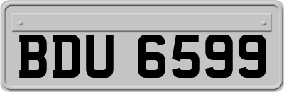 BDU6599