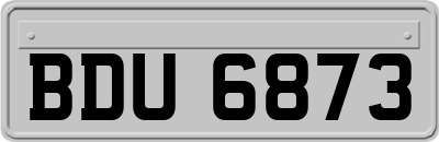 BDU6873