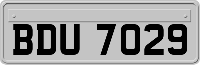 BDU7029