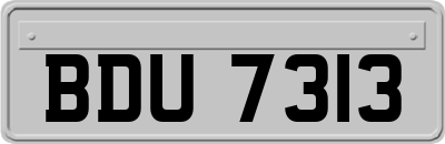 BDU7313