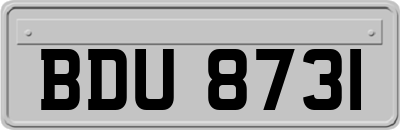 BDU8731