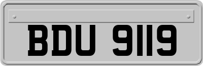 BDU9119