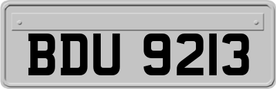 BDU9213