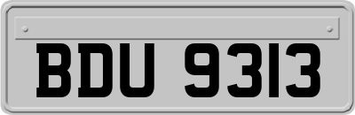 BDU9313