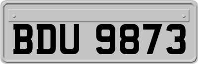 BDU9873