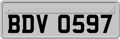 BDV0597