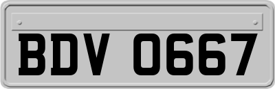 BDV0667