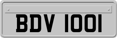 BDV1001