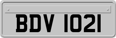 BDV1021