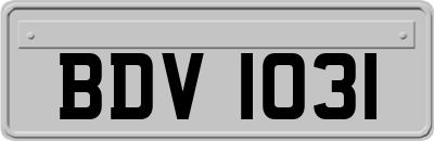 BDV1031