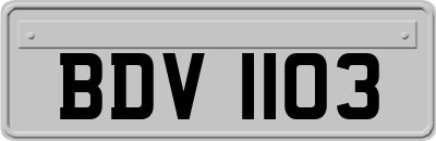 BDV1103