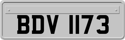 BDV1173