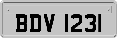 BDV1231