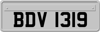 BDV1319