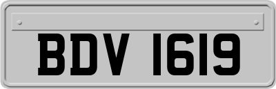 BDV1619