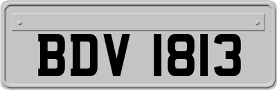 BDV1813