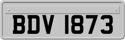 BDV1873