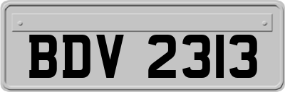 BDV2313