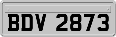 BDV2873