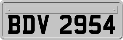 BDV2954
