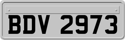 BDV2973