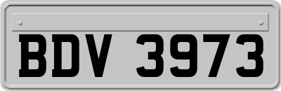BDV3973