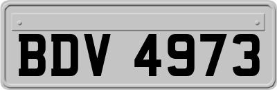 BDV4973