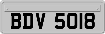 BDV5018