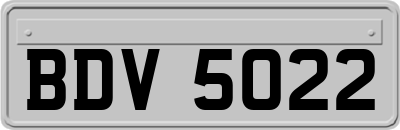 BDV5022