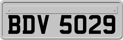 BDV5029