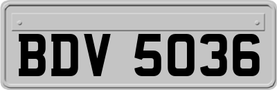 BDV5036