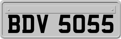 BDV5055