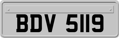 BDV5119