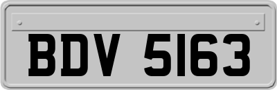 BDV5163