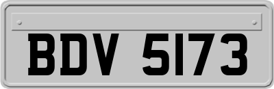 BDV5173