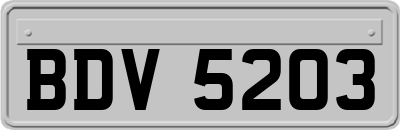 BDV5203