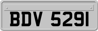 BDV5291