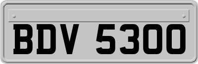 BDV5300