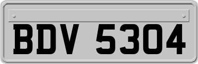BDV5304