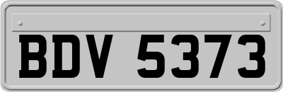BDV5373