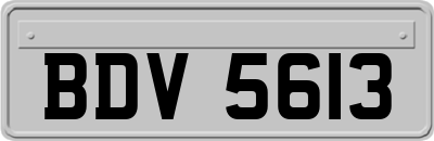 BDV5613