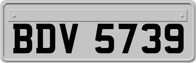 BDV5739