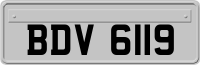 BDV6119