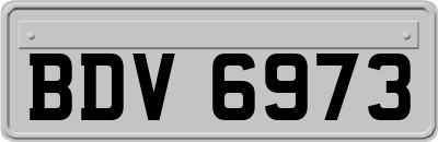 BDV6973